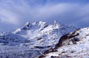 The Cobbler
