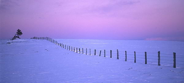 Snow Fence